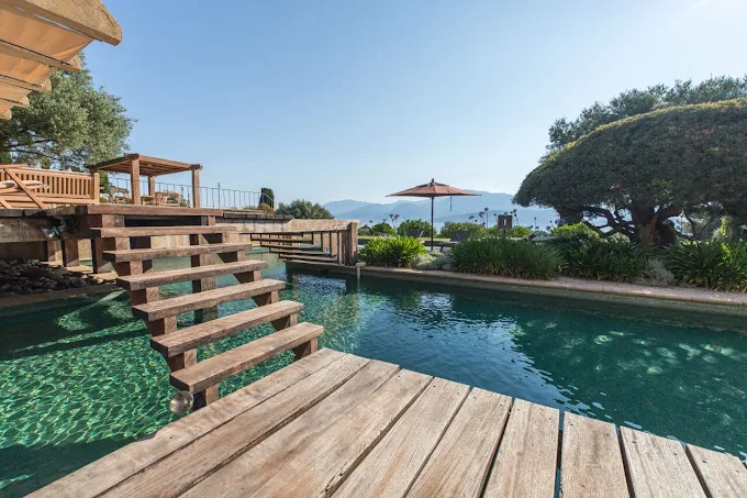 Guide entretien piscine en Corse — Piscine Sud Porto-Vecchio